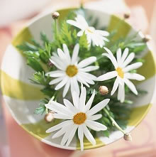 ���ȃC���[�W